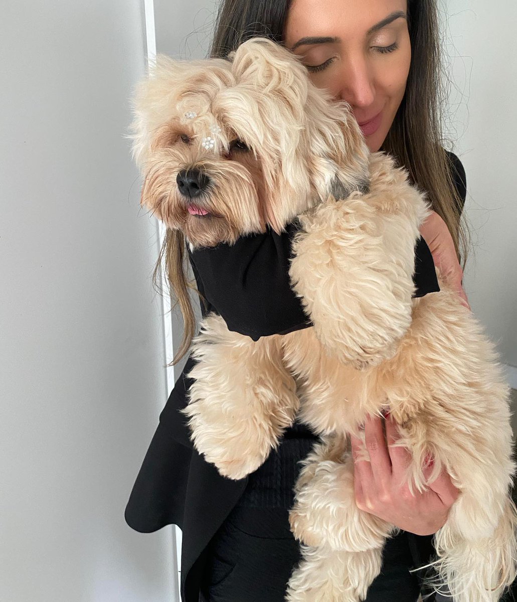 Melissa04a's tweet photo. Do you have friends who like dogs? https://t.co/aC1gBwOtqx