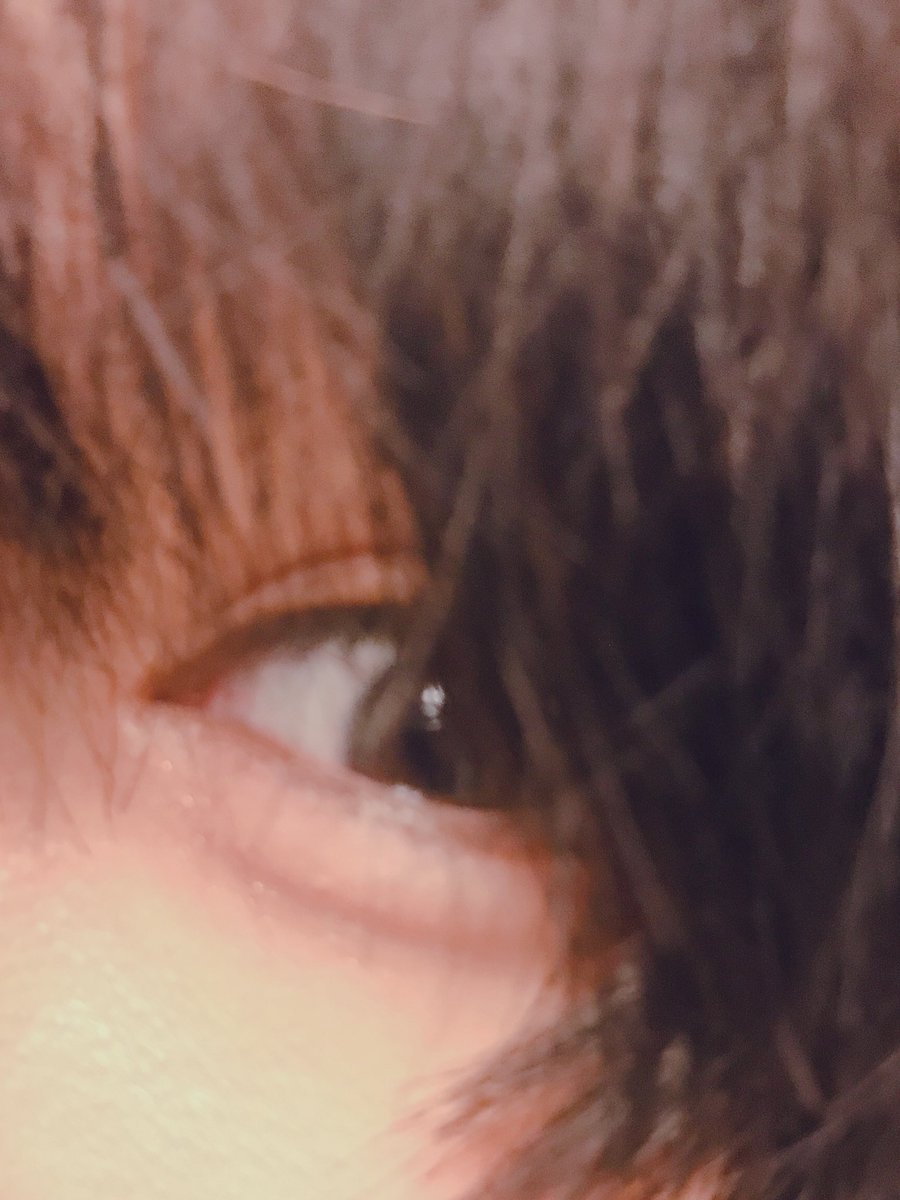 HayatoSub713's tweet photo. カメラ近すぎるwwwwwwwwww
可愛過ぎるので共有（許可は得た） https://t.co/ajAbvqoqTo