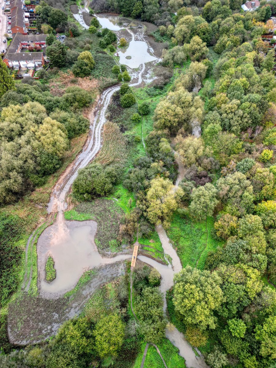 YourRBI's tweet photo. Finally, Eastbrookend Country Park, a wetland oasis. This wetland has improved the Rom's water quality and provided key habitat for the abundant biodiversity in the area. The RBI catchment partnership played a crucial role in this wetlandโs creation. (Pt 3/3)
#RBICP #LBBD #Rom https://t.co/gM29JFGKH0