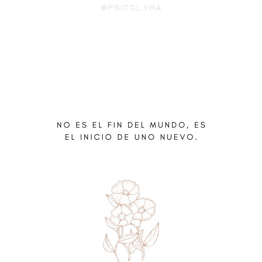 psicolyra's tweet photo. 🪷✨ https://t.co/r2xcOWexI8