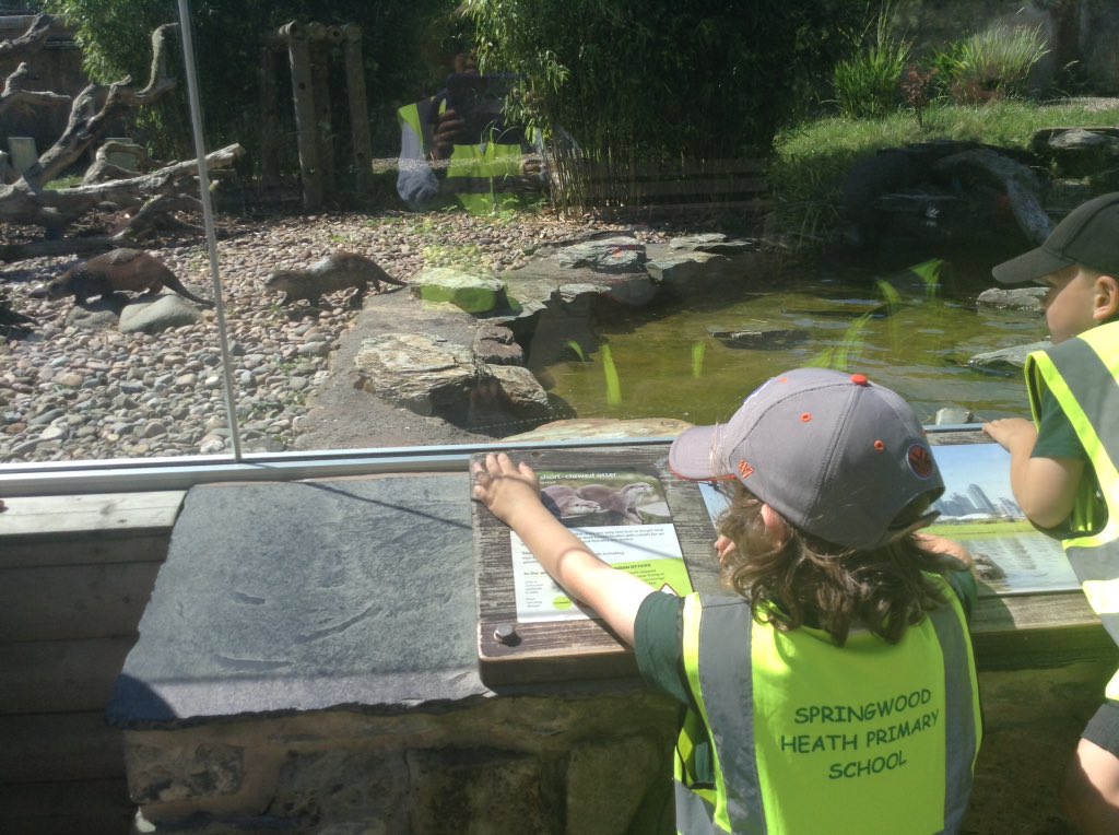 More photos #swhvalues #swhvalues #Martinmere