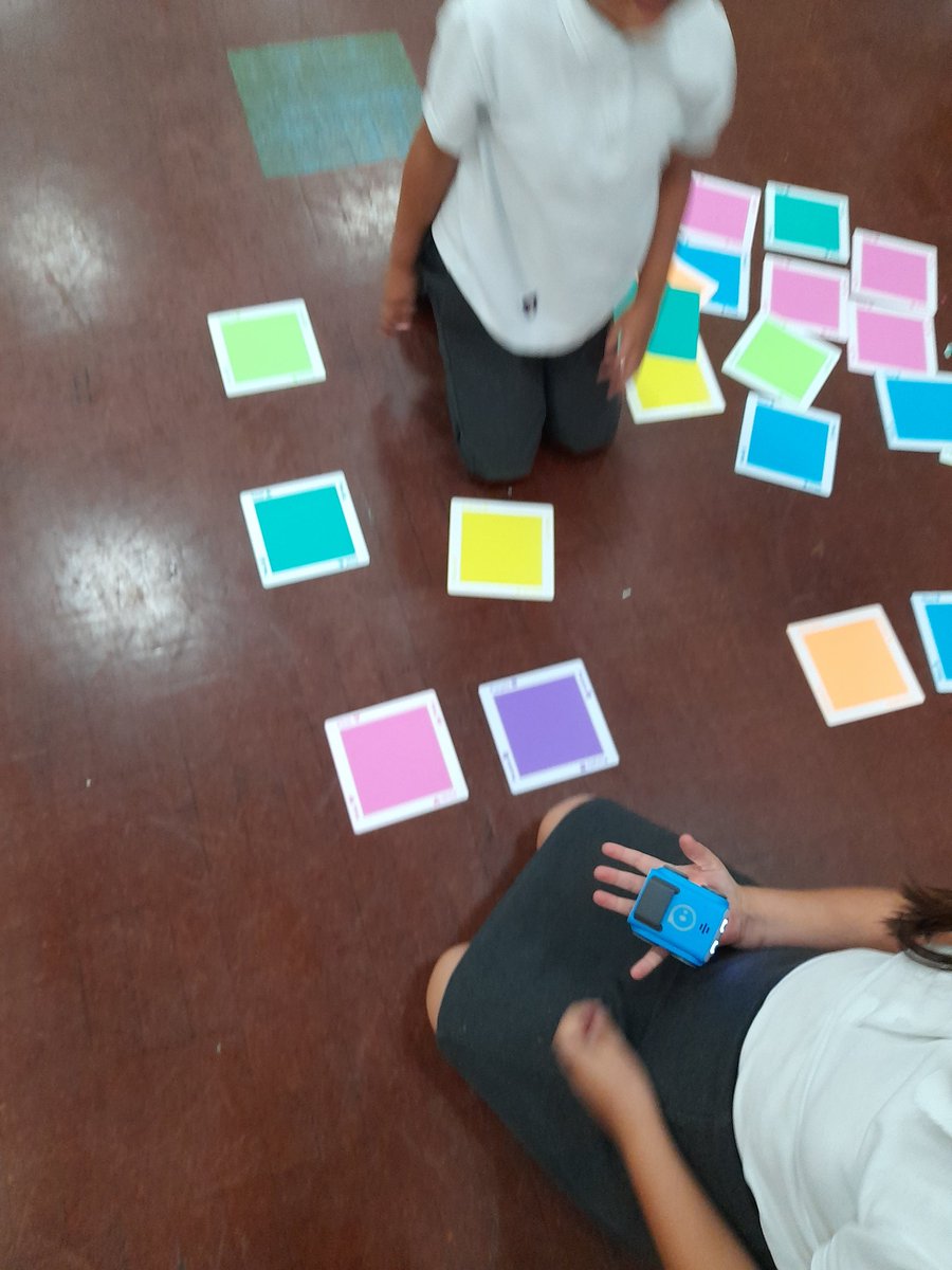 MGLWorld_Neil's tweet photo. This afternoon @GSPSNewZealand explored different coding activites. Children completed tasks using iPads, Beebots and Sphero Indis. #GSPSComputing https://t.co/RVdASlAp33
