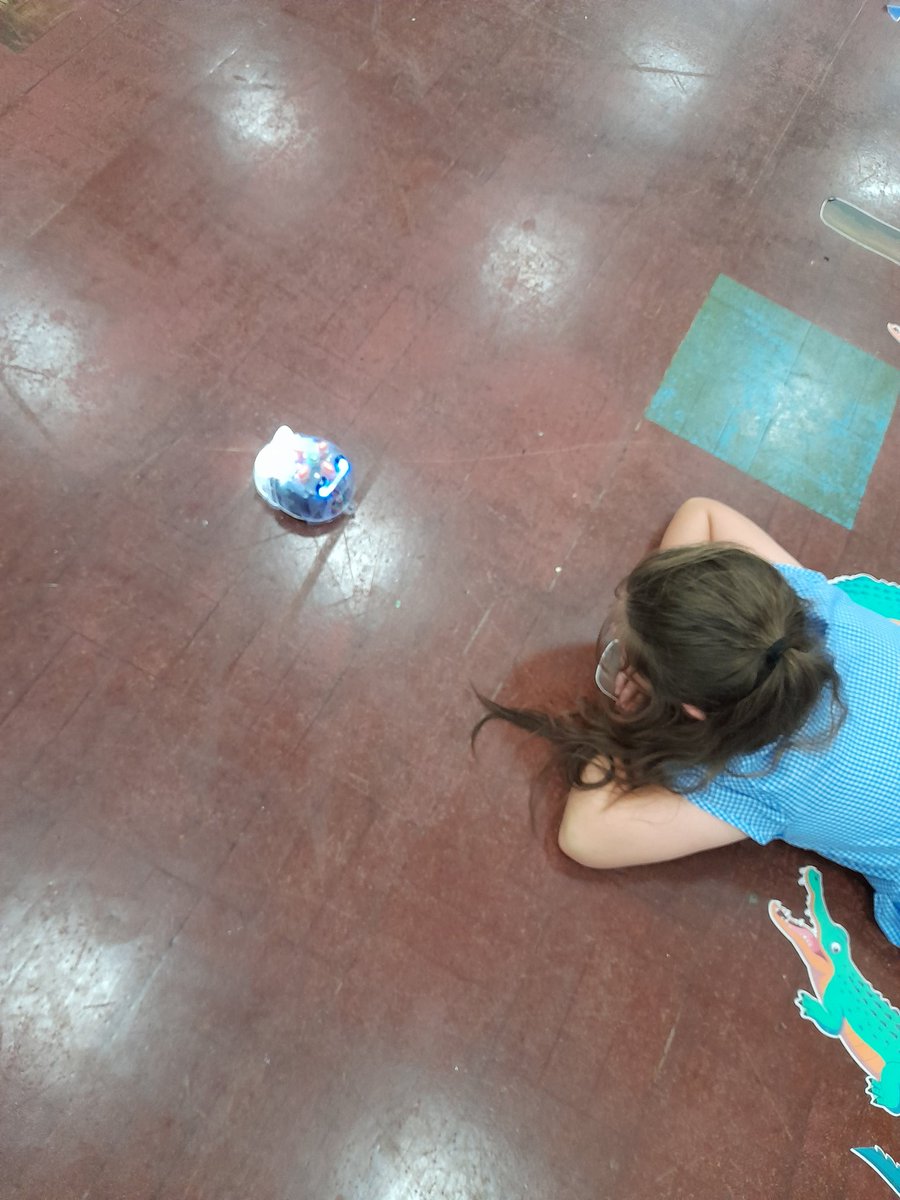 MGLWorld_Neil's tweet photo. This afternoon @GSPSNewZealand explored different coding activites. Children completed tasks using iPads, Beebots and Sphero Indis. #GSPSComputing https://t.co/RVdASlAp33