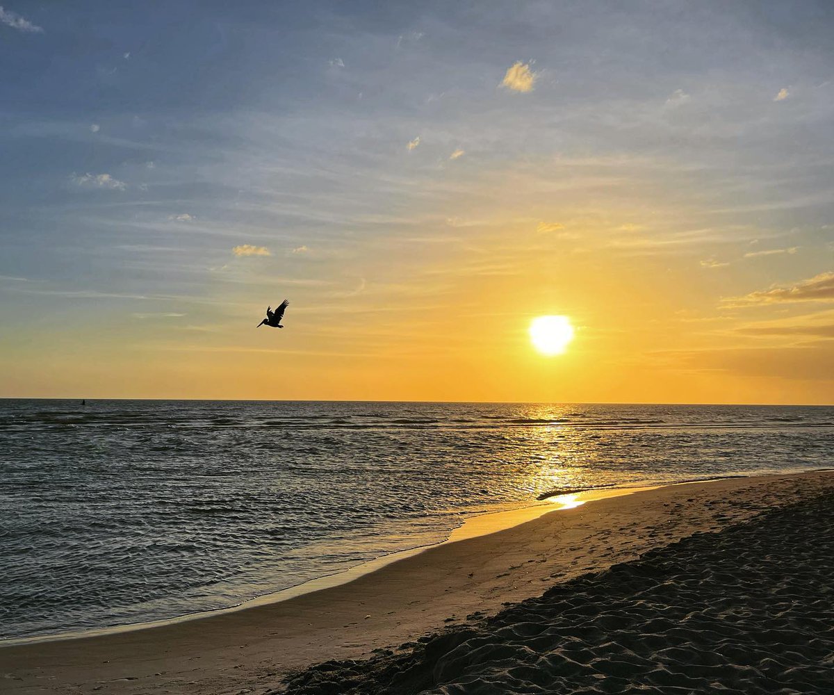 If you're searching for a slice of heaven where sunsets and wildlife come together in perfect harmony, Blind Pass Beach is the place to find it. 🌅 📸: bit.ly/3P5ISJl