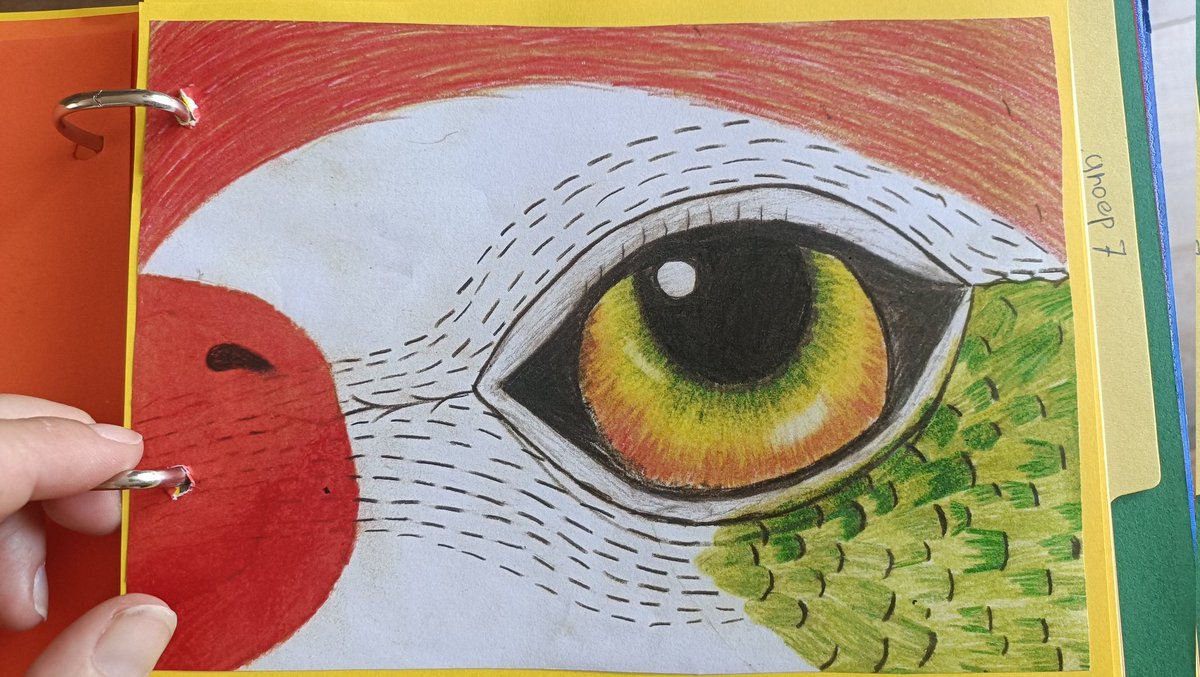 In Beeld Bij Nathalie tweet media