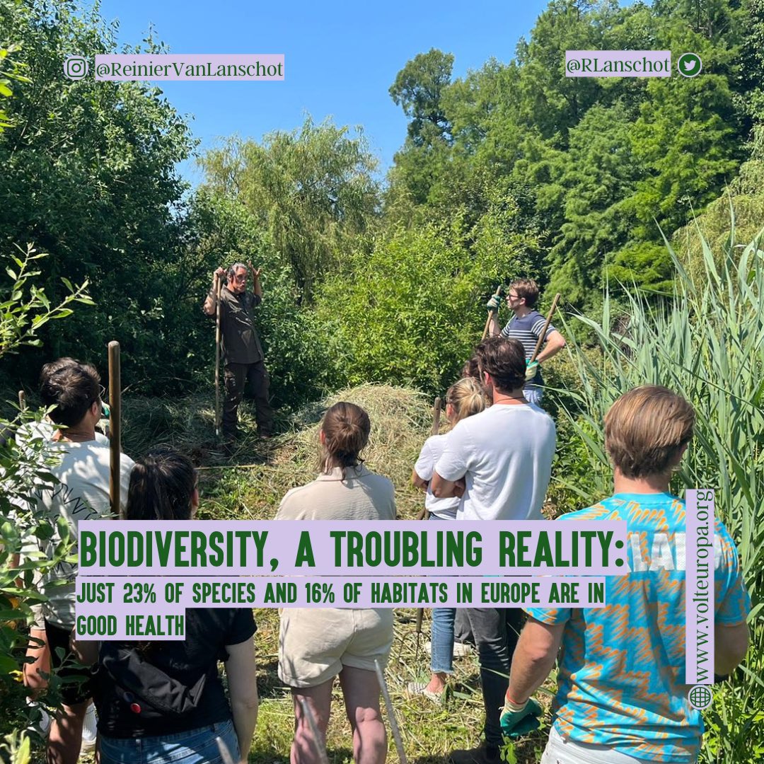RLanschot's tweet photo. Recap of my volunteering time at the biggest park in #amsterdam
#volt #volteuropa #eupol #biodiversity #park #netherlands #volunteer #joinvolt https://t.co/V1LbUc69Ge