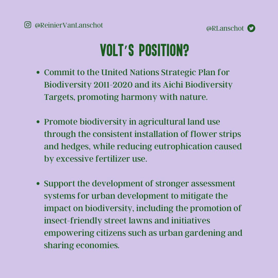 RLanschot's tweet photo. Recap of my volunteering time at the biggest park in #amsterdam
#volt #volteuropa #eupol #biodiversity #park #netherlands #volunteer #joinvolt https://t.co/V1LbUc69Ge