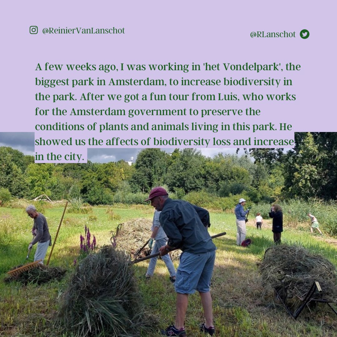 RLanschot's tweet photo. Recap of my volunteering time at the biggest park in #amsterdam
#volt #volteuropa #eupol #biodiversity #park #netherlands #volunteer #joinvolt https://t.co/V1LbUc69Ge
