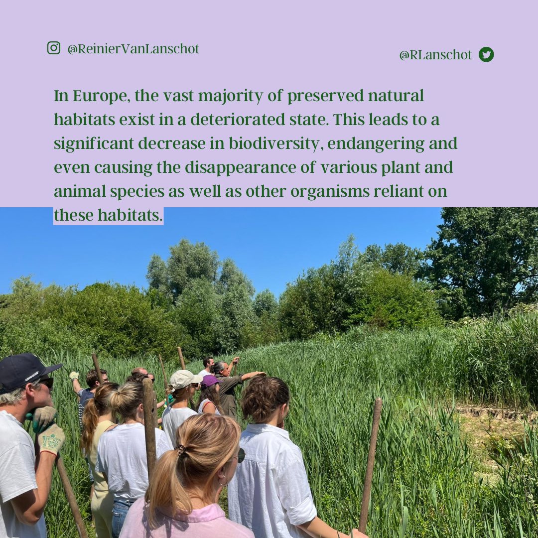 RLanschot's tweet photo. Recap of my volunteering time at the biggest park in #amsterdam
#volt #volteuropa #eupol #biodiversity #park #netherlands #volunteer #joinvolt https://t.co/V1LbUc69Ge