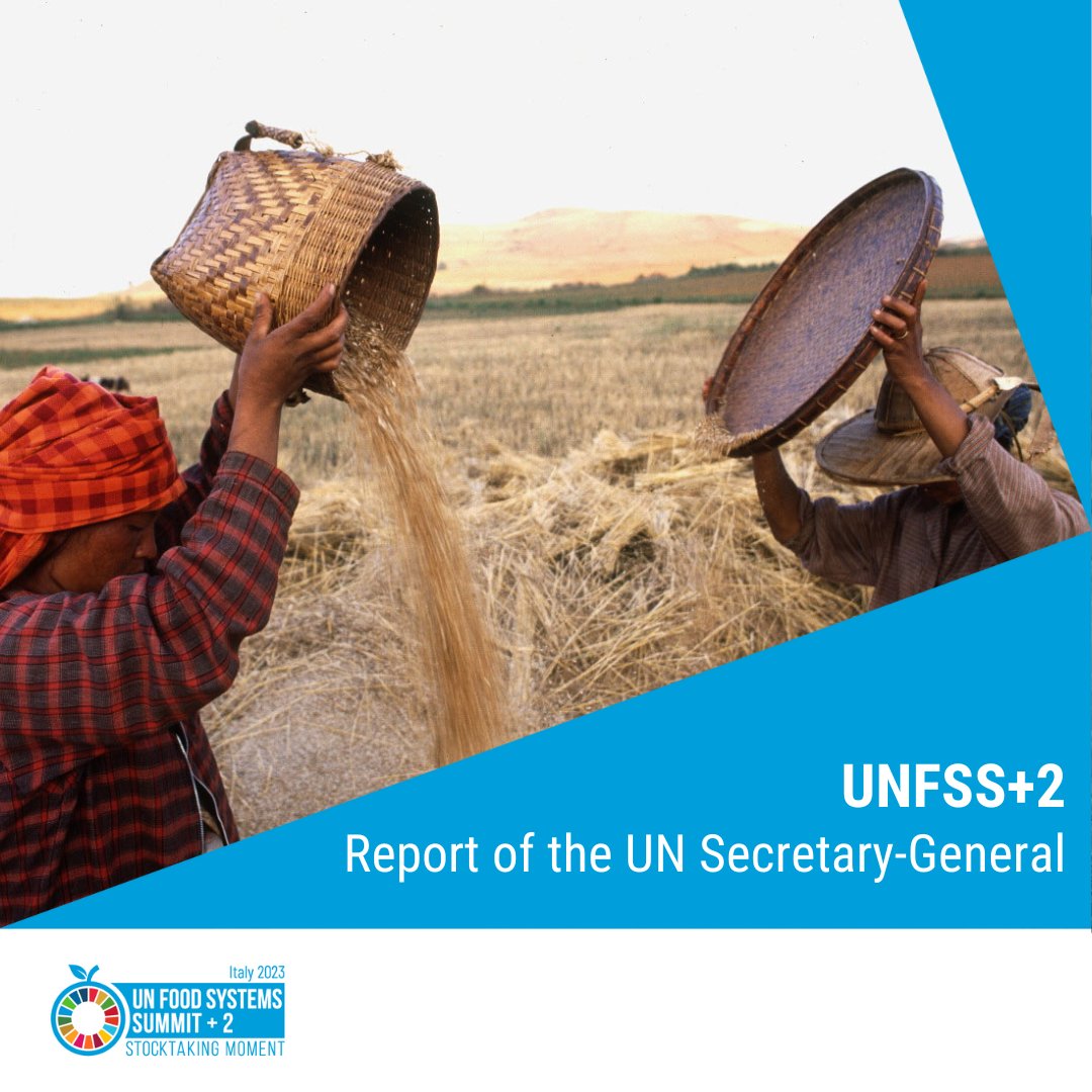 📢 #JustReleased The advanced, unedited, draft version of the #UNFSS2023 Report of the <a href="/UN/">United Nations</a> Secretary-General, "Progress on #FoodSystems transformation since the #UNFSS 2021" is out!🌎

Learn about global efforts for sustainable &amp; equitable #FoodSystems➡️ bit.ly/44w6dIH