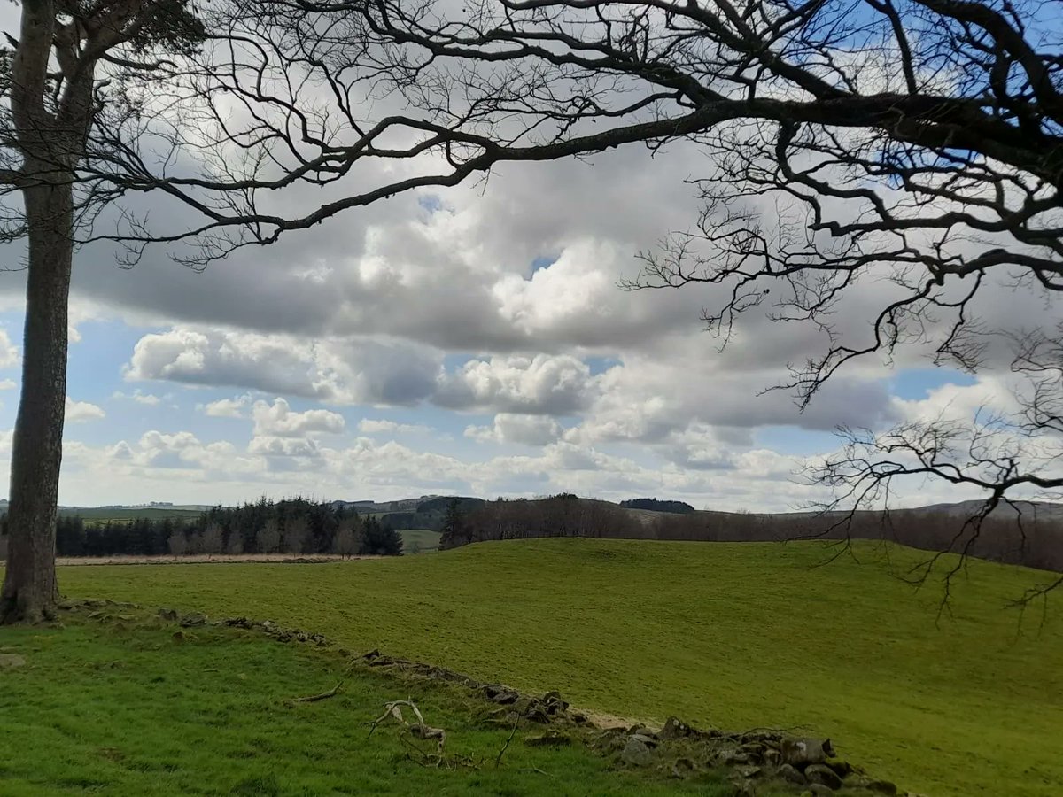 Nature providing its own frame for the beautiful countryside around our cottage #ArdenHolidayCottage #SeeSouthScotland #GetOutdoors 
#DumfriesAndGalloway #ScenicScotland