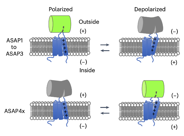 Nature Methods tweet media