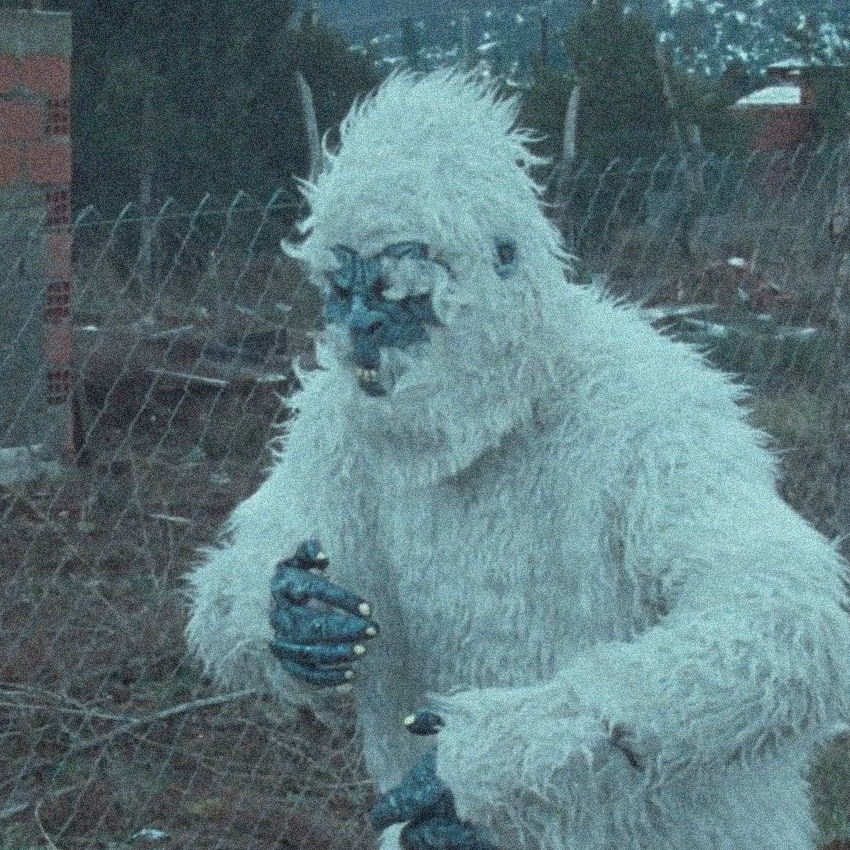 kinokisancristobal tweet media