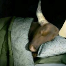 llego el finde, toy coqueto...