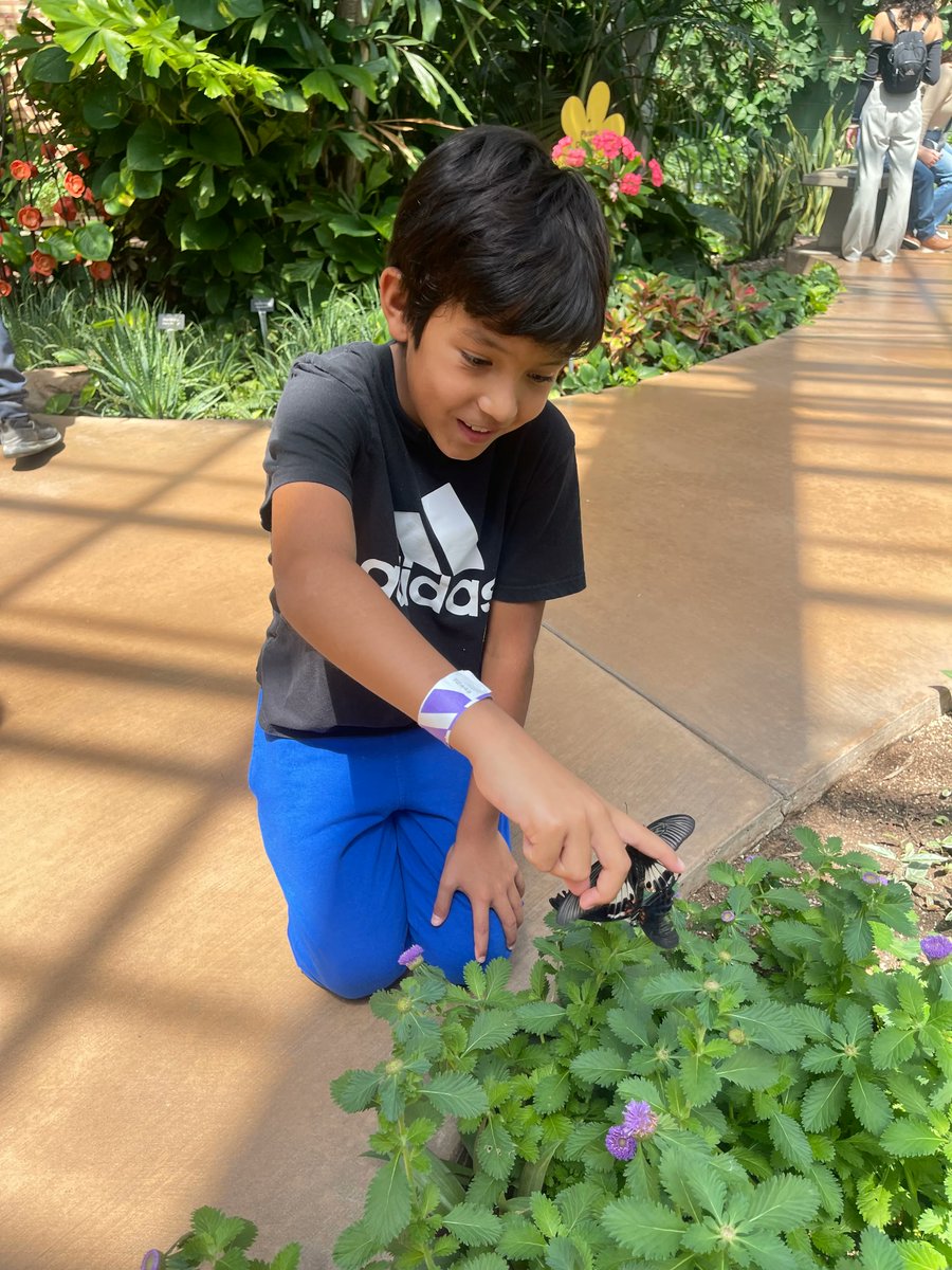 CSCArizona's tweet photo. #FBF to May when we held our YTF outing to 'Butterfly Wonderland'. 🦋 If your family, or you know of a family, has been impacted by cancer and would like to learn more about our programs and services, email YTF@cscaz.org. #CommunityIsStrongerThanCancer https://t.co/HVM7UgbdPU