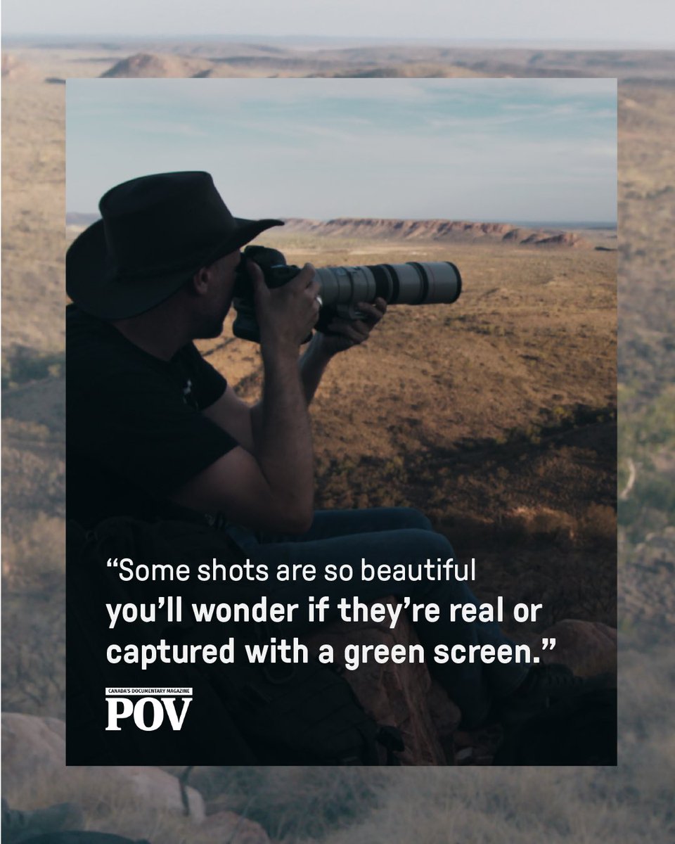 IN FILMS (@infilmsaus) on Twitter photo 