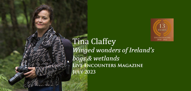 marculyseas's tweet photo. Tina Claffey – Winged Wonders of Ireland’s Bogs &amp; Wetlands https://t.co/MMDrDGcd42  @TinaClaffey https://t.co/C7V4onmgTv