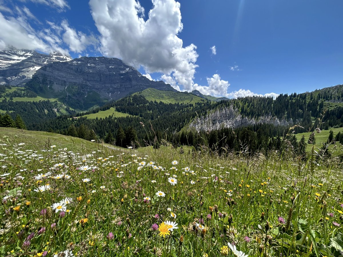 akcook4's tweet photo. Incredible time in Les Diablerets, Switzerland at the #ALSGRC! I’ve learned so much and have really enjoyed getting to know my peers and talking about my latest data! https://t.co/rKG3V5oden