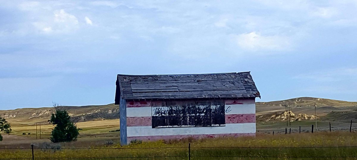 Sarah Kendzior tweet media