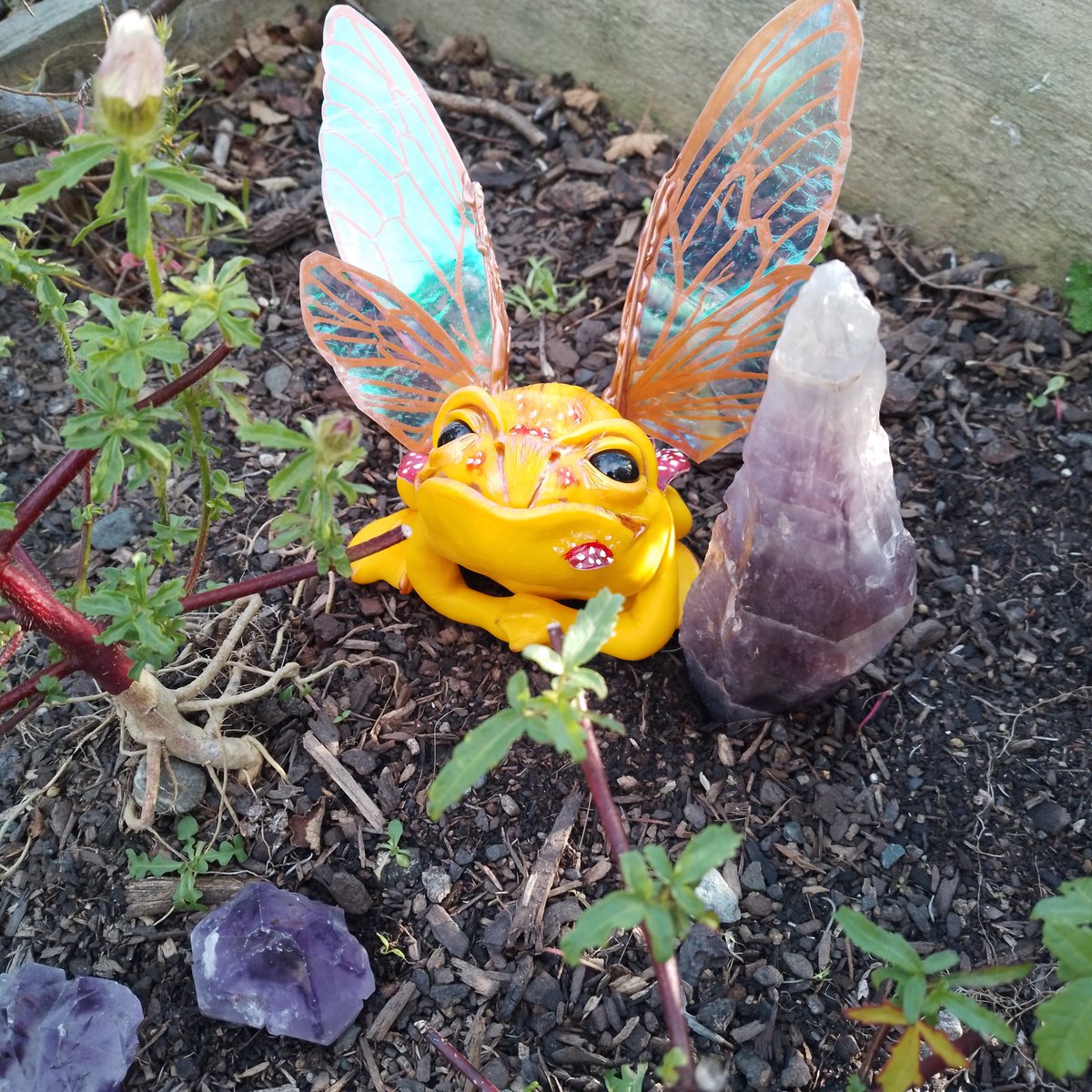 Just a faery toad, vibing in its crystal garden. #nonesuchesbyrisk #faecore