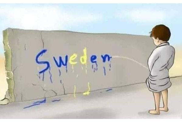 Best picture of the day 
#تحفظِ_قرآن_ہمارا_ایمان