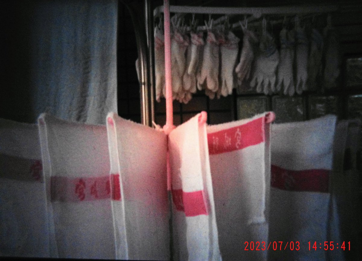 HoshiaiKouji's tweet photo. ［#俺らのprovoke]  173.4.5.6
私の通所する施設にて。(日付ないのは23/7/5撮影、Googleフォトで自動補正もあり)

ライカR 6.2 バリオ・エルマーR28-70mmF3.5-4.5
#imback35 #imbackofficial #メ日記 https://t.co/gahTrpZ5Ih