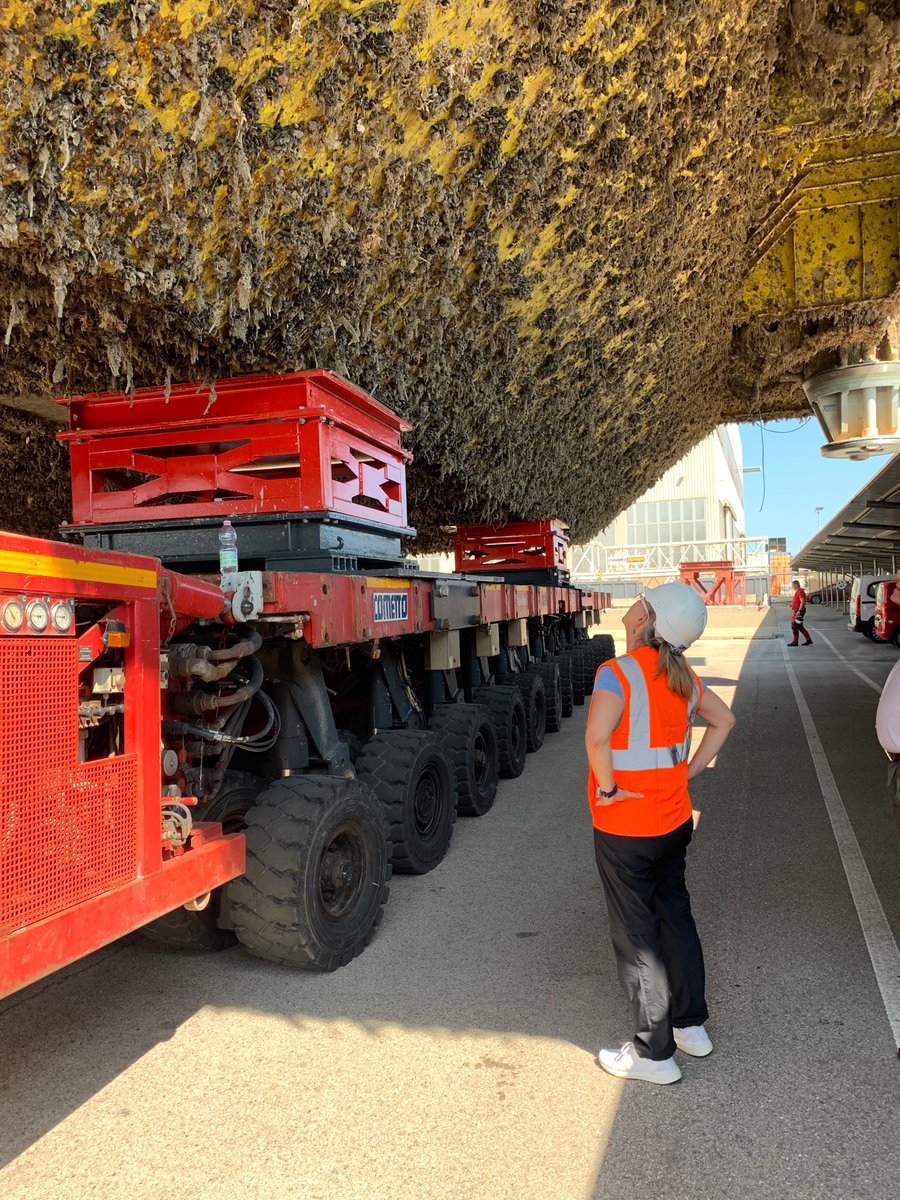 Robin Gauff tweet media