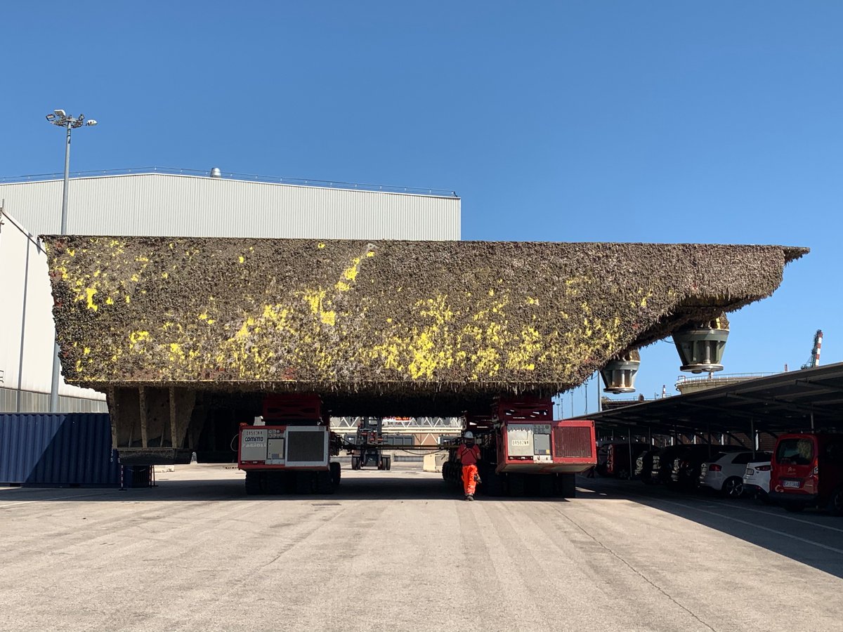 Robin Gauff tweet media