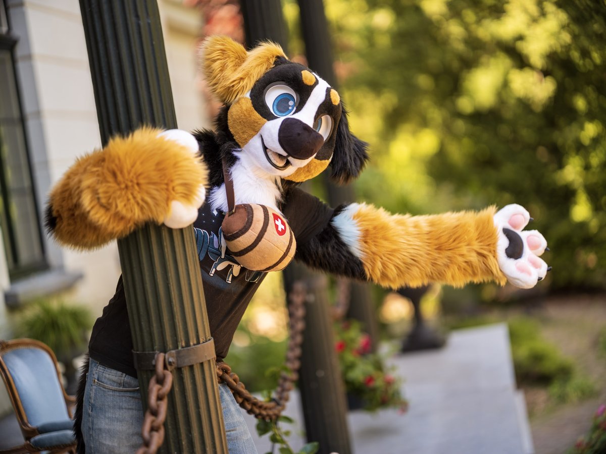 ignituswillion's tweet photo. Look at this beautiful weather outside on this #FursuitFriday. Its #floptastic... Me and my dear Elex (@aphinion❤️) enjoying it the fullest due to the Help of amazing Photos from @CaptainChaotika! 🤗
Both Suits are done by @SchneeCreations! :3
Also I should Safe some People... https://t.co/Wxb5agsKt5