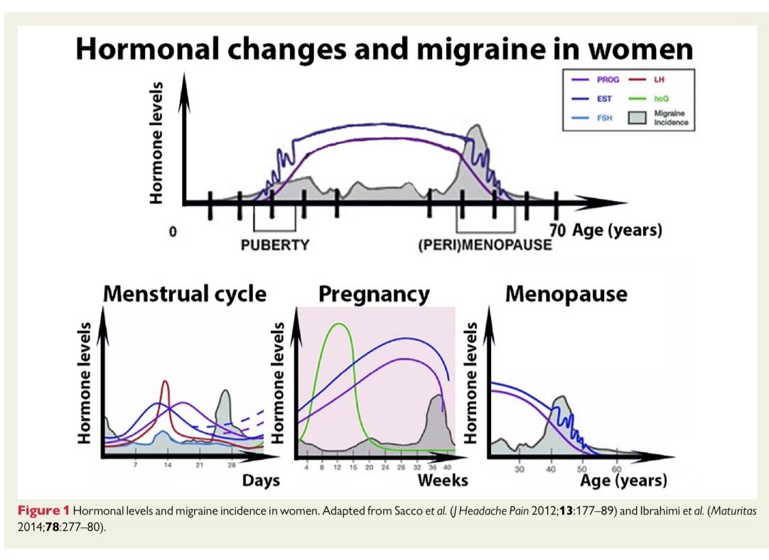 Ed_Alania's tweet photo. 🧠Migraine &amp; CV disease: what cardiologists should know @ESC_Journals #CardioEd #Cardiology #CardioTwitter https://t.co/Ce7zL4OlEE