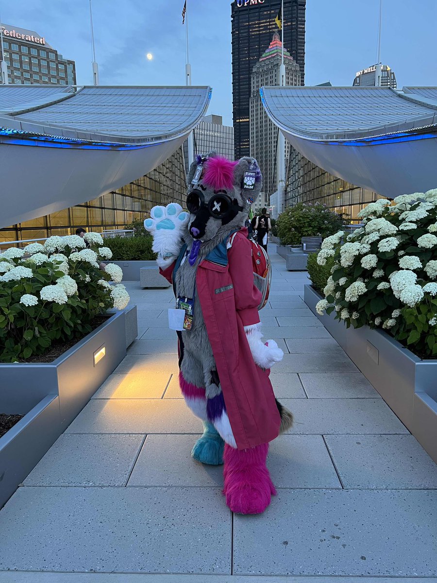 Victorian_K9's tweet photo. @anthrocon @LionelLeupold This https://t.co/acG2pkwQNc