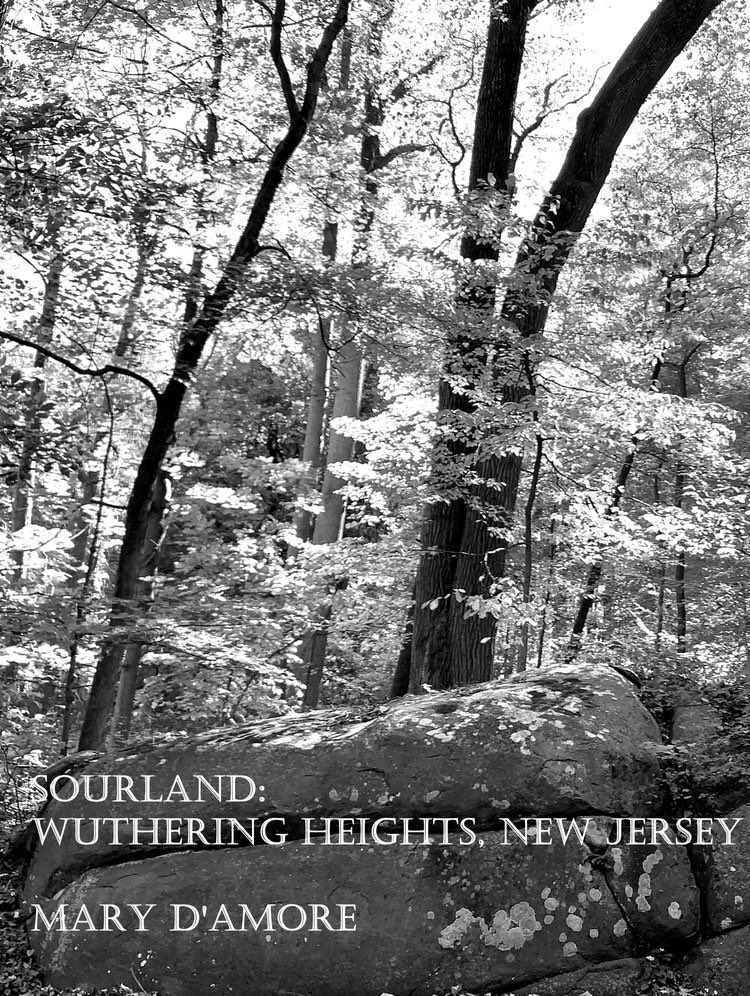 MaryDAmore's tweet photo. New title, better “hook.” #wutheringheights #amquerying
https://t.co/UkjBskXKOq https://t.co/MfRAA1t26n