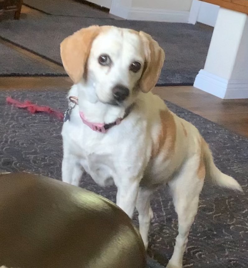 Katiebug tweet media