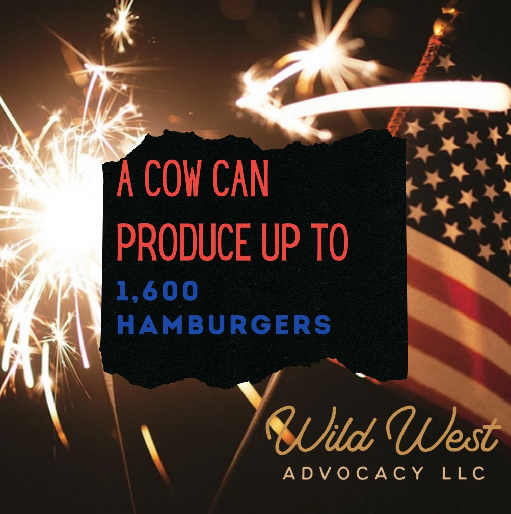 I hope everyone had a freedom loving, safe, hamburger eating Independence Day! 🇺🇸🇺🇸

Happy Ag Fact Friday! 

There are around 375 million hamburgers consumed on the 4th of July, so that means we needed 234,375 cows to feed all the bbqs this week! Thank you ranchers! 🇺🇸🐄🤠