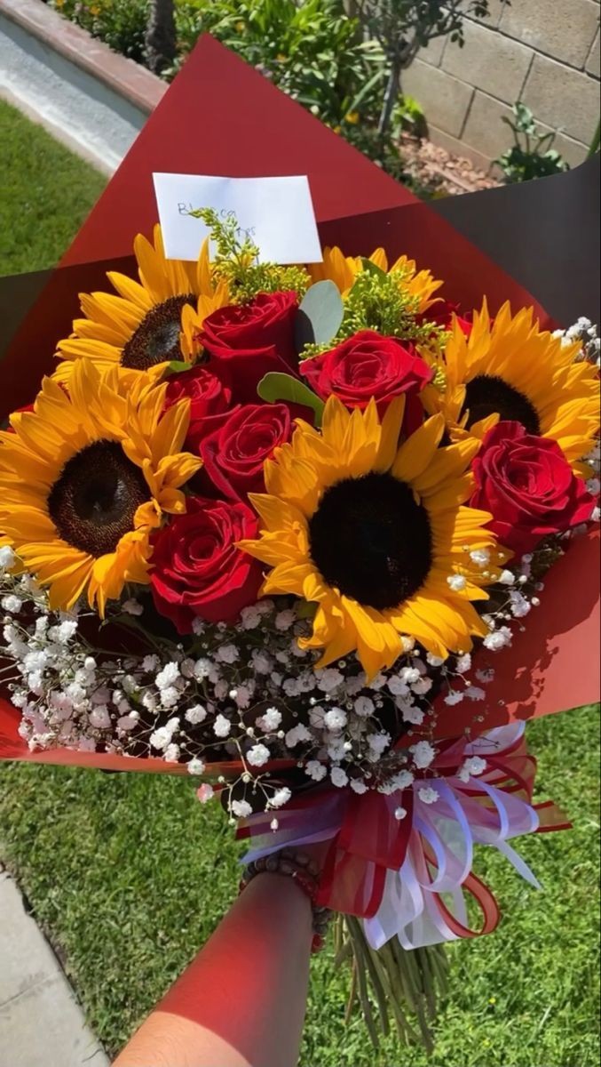 sunflowerchives's tweet photo. I'm inlove. https://t.co/nZFtsHmcFd