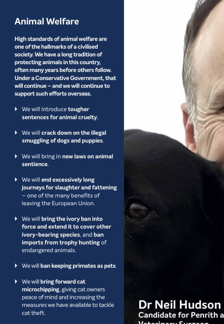 BritishFur's tweet photo. @Christian4BuryS Lying and misleading again @Christian4BuryS . This was Conservative Party manifesto commitments on animal welfare. Where’s the mention of fur? But then you were more than happy to jump ship on the manifesto you were elected on without offering your constituents a by-election. https://t.co/73ytQRdxCR