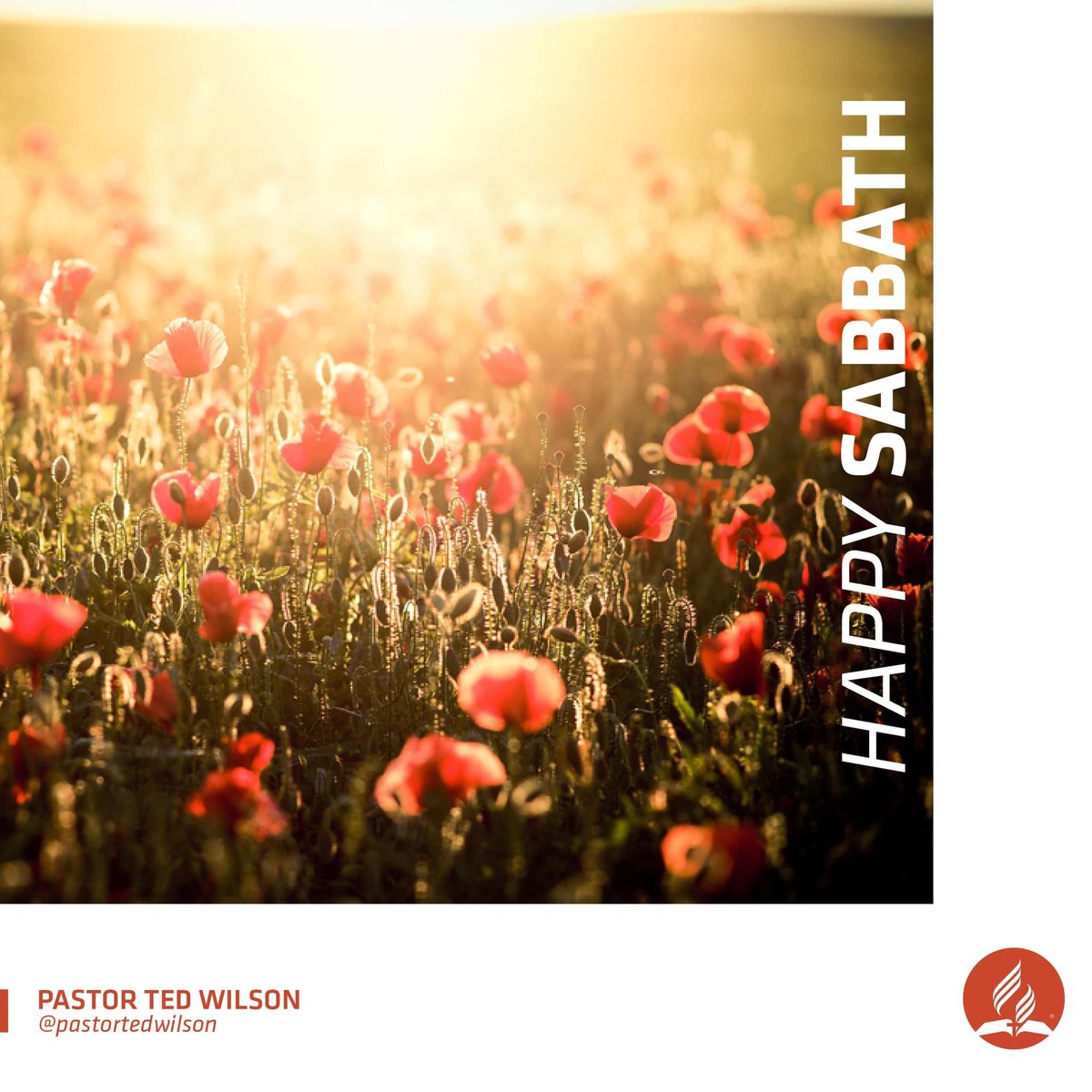 Happy Sabbath!

#Sabbath #HappySabbath