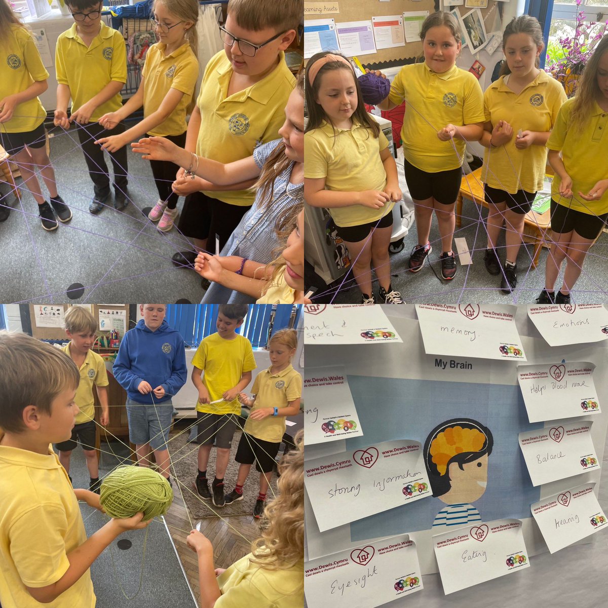 Llandeilo Primary tweet media