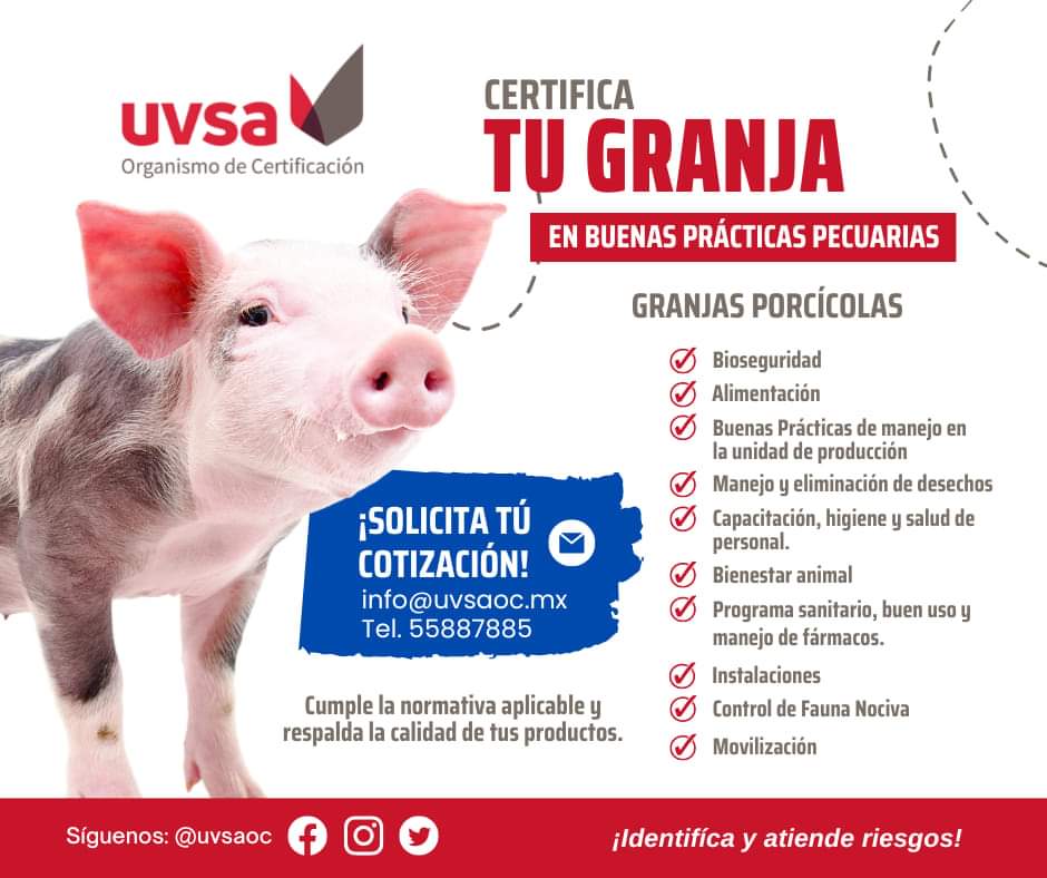 uvsaoc's tweet photo. ¿Y tu ya nos conoces? Visita nuestro sitio web: https://t.co/cDzTCaximX ó Llámanos al: 5588788504/5588788505 y solicita cotización de nuestros servicios de #certificación en #buenasprácticaspecuarias

🍯🥚🍗🥛
#uvsa #uvsaoc #certificate #cerdos #aves #cabras #bovinos #abejas https://t.co/MbwXbgnFfL