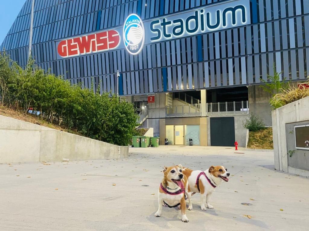 CheiDeBerghem's tweet photo. Mila e Lucy gli amici animali di Monia Merati al Gewiss Stadium... Pronti anche a loro a vedere la Dea quando ricomincerà il campionato? #bergamo #berghem #cheideberghem https://t.co/fJTSqaKWYI