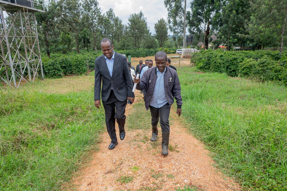 Absa Bank Kenya (@absakenya) on Twitter photo <a href="/ZKittony/">Zipporah Kittony</a> We share in her passion for success in agribusiness and are honoured to work hand in hand with her and her team towards elevating her endeavour.
#AbsaConnect #PartnershipsForGood <a href="/ZKittony/">Zipporah Kittony</a> We share in her passion for success in agribusiness and are honoured to work hand in hand with her and her team towards elevating her endeavour.
#AbsaConnect #PartnershipsForGood