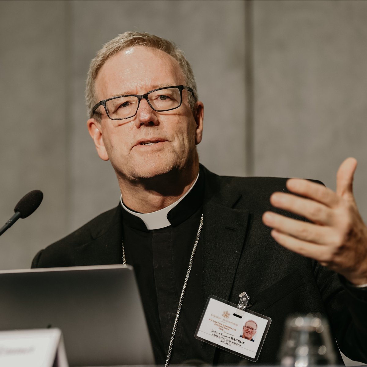 BishopBarron's tweet photo. It was formally announced today by the Vatican that I will be among the more than four hundred delegates to the Synod on Synodality, which will take place this coming October in Rome. https://t.co/0ojmeTtNJv