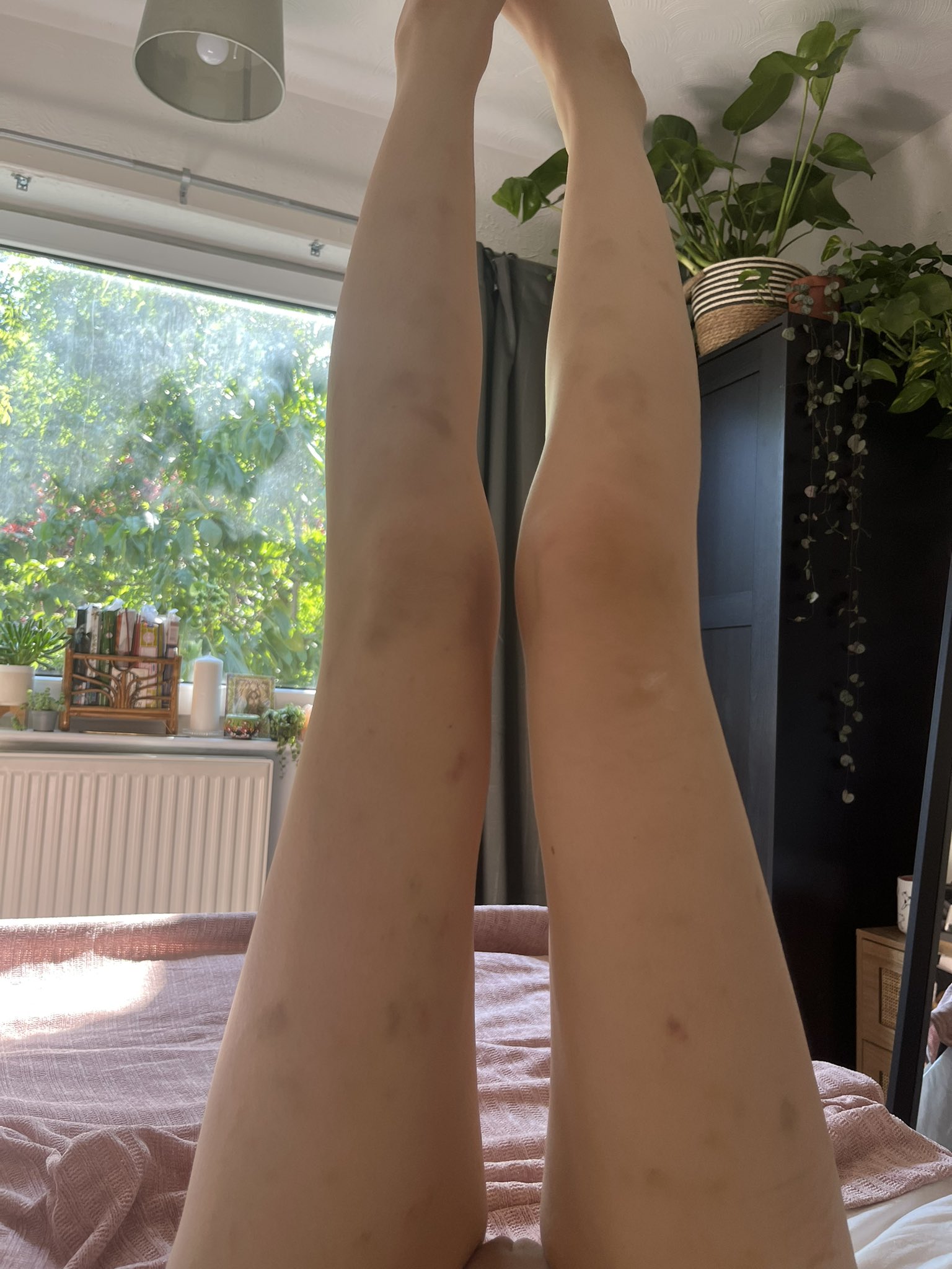 Rosaline Dawn on X: let me know when you see it >.<  t.cozT19q091iI  X