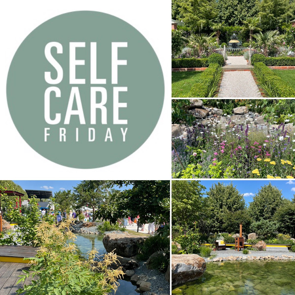BLawAcupuncture's tweet photo. Feel Good Friday - spending time with friends &amp; flowers 🌸 ☀️ https://t.co/ea33GGtJCN