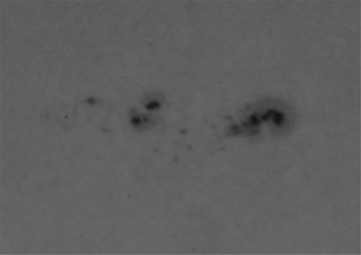 VanderdoleWim's tweet photo. #SideWalkAstronomyNetherlands
#SideWalkAstronomy
#TrottoarAstronomi
#SidewalkScienceCenter
#sidewalkscience
#Zwolle
#stoepsterrenkunde
#BuienRadar
@drbecky_s
@captaround
https://t.co/oGxsiZdj0D
https://t.co/CeQZMsoNjT https://t.co/krxMVWjvXP