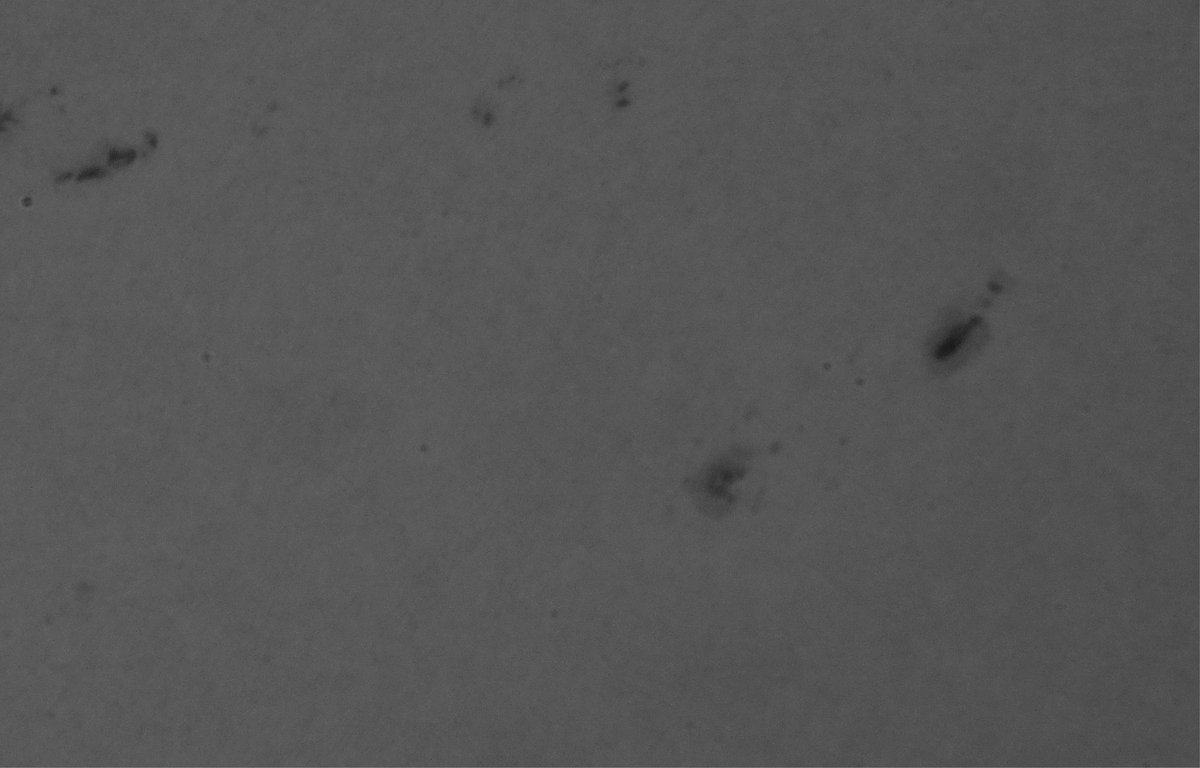 VanderdoleWim's tweet photo. #SideWalkAstronomyNetherlands
#SideWalkAstronomy
#TrottoarAstronomi
#SidewalkScienceCenter
#sidewalkscience
#Zwolle
#stoepsterrenkunde
#BuienRadar
@drbecky_s
@captaround
https://t.co/oGxsiZdj0D
https://t.co/CeQZMsoNjT https://t.co/krxMVWjvXP