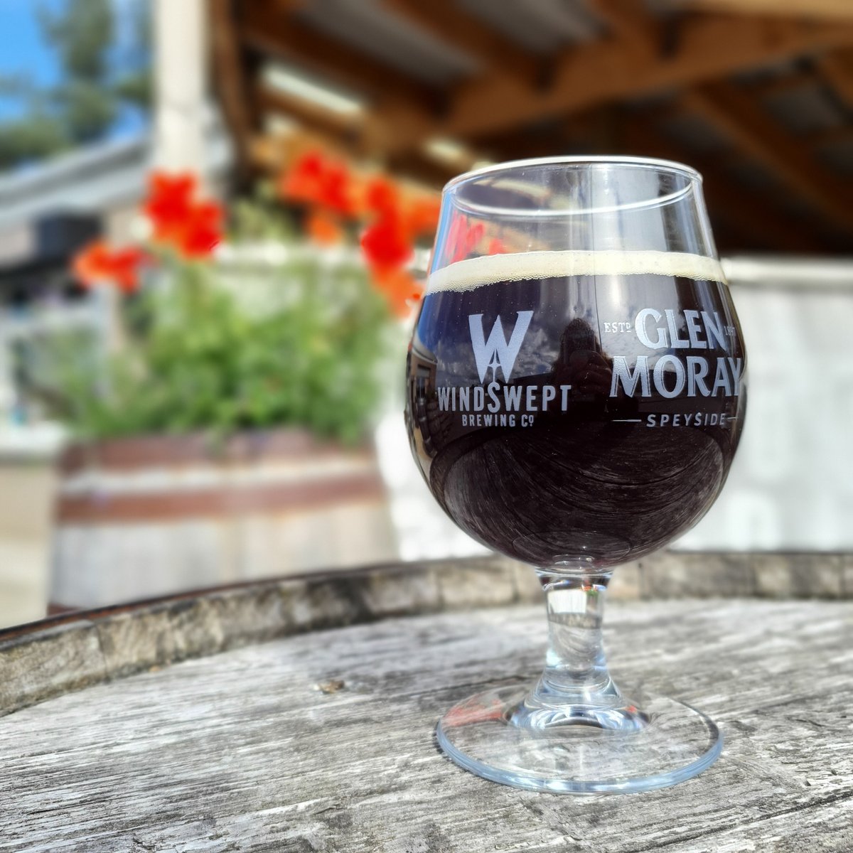 Windswept Brewing tweet media