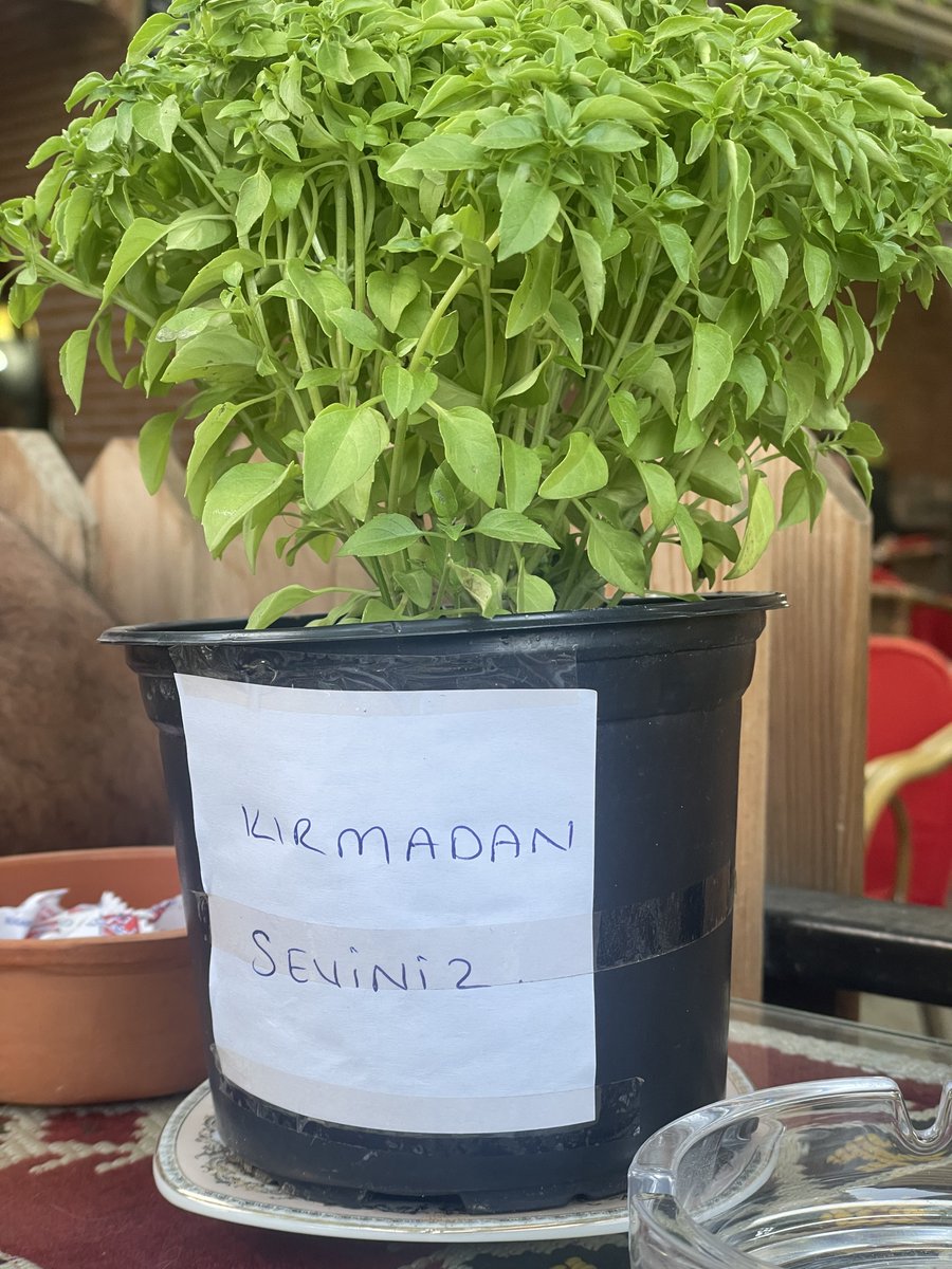 melisadegec's tweet photo. Alnıma yapıştıracağım bu yazıyı https://t.co/NTBeRYtQLW