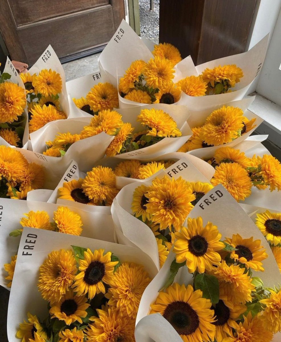 astraphobic_69's tweet photo. Sunflowers https://t.co/tdXcvrjemF