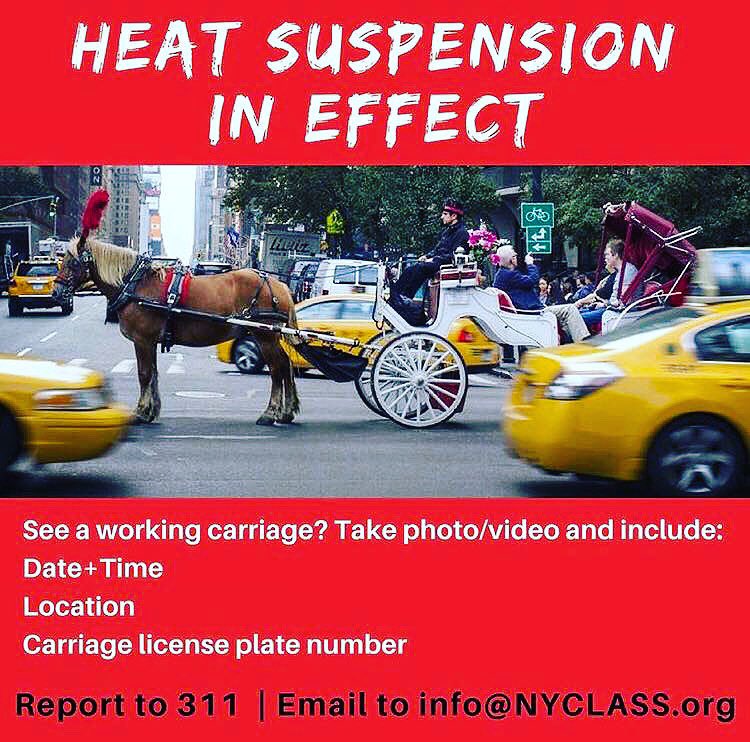 nyclass's tweet photo. 🚨🐴🚨NYC HORSE HEAT ALERT: Carriage horses are suspended from working as of 11:39am today due to extreme heat/humidity 

📸 Please document with video + pictures if you see horses out illegally - send us the info at Edita@nyclass.org and report to @nyc311 Please share! 📣 https://t.co/fKDhsaS5jN